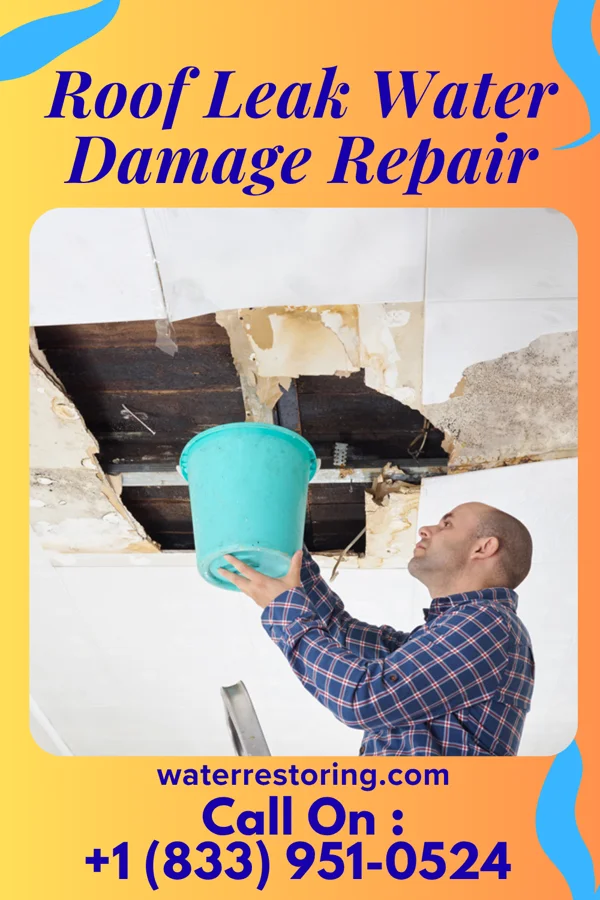 Roof Leak Water Damage Repair in Duchesne, UT